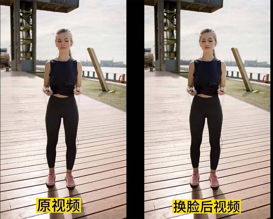 （6507期）AI换脸替换工具离线版V1.2 保姆级视频教程（一键操作，小白一看就会）